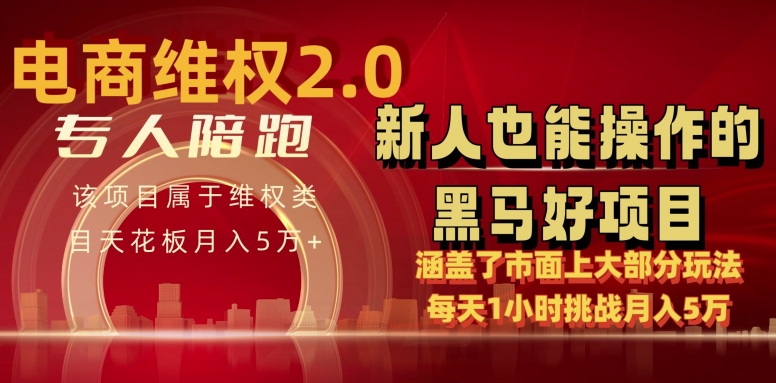 电商维权 4.0 如何做到月入 5 万+每天 1 小时新人也能快速上手【仅揭秘】跨境课程-外贸教程-精品网课-电商运营课库课堂