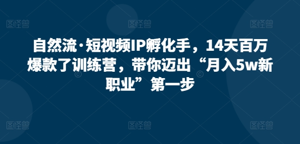 自然流·短视频IP孵化手，14天百万爆款了训练营，带你迈出“月入5w新职业”第一步跨境课程-外贸教程-精品网课-电商运营课库课堂
