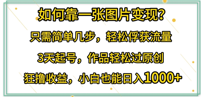 如何靠一张图片变现?只需简单几步，轻松俘获流量，3天起号，作品轻松过原创跨境课程-外贸教程-精品网课-电商运营课库课堂