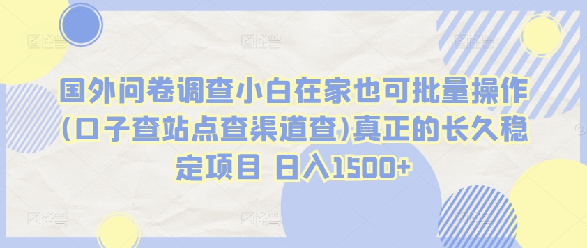 国外问卷调查小白在家也可批量操作(口子查站点查渠道查)真正的长久稳定项目 日入1500+跨境课程-外贸教程-精品网课-电商运营课库课堂