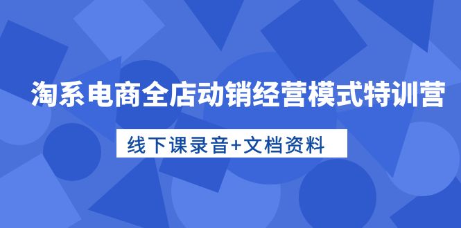淘系电商全店动销经营模式特训营，线下课录音+文档资料跨境课程-外贸教程-精品网课-电商运营课库课堂