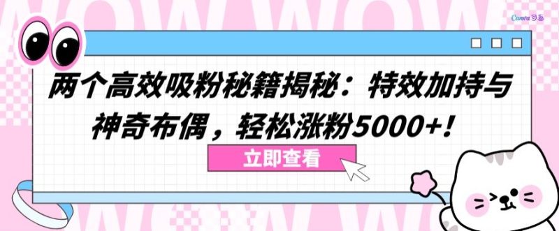 两个高效吸粉秘籍揭秘：特效加持与神奇布偶，轻松涨粉5000+跨境课程-外贸教程-精品网课-电商运营课库课堂