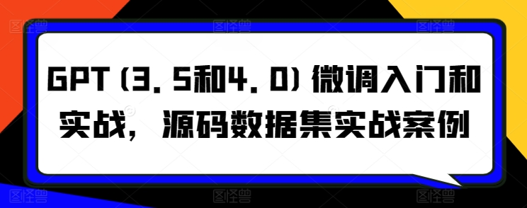 GPT(3.5和4.0)微调入门和实战，源码数据集实战案例跨境课程-外贸教程-精品网课-电商运营课库课堂