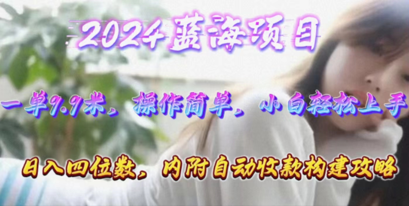 年轻群体的蓝海市场，1单9.9元，操作简单，小白轻松上手，日入四位数跨境课程-外贸教程-精品网课-电商运营课库课堂