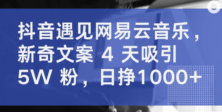 抖音遇见网易云音乐，新奇文案 4 天吸引 5W 粉，日挣1000+跨境课程-外贸教程-精品网课-电商运营课库课堂