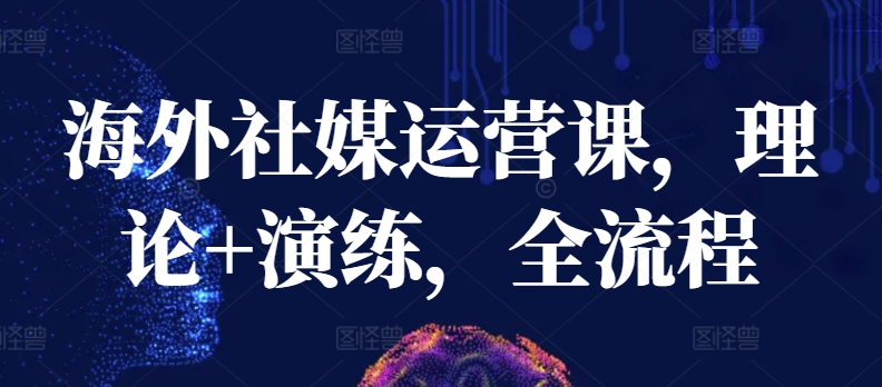 海外社媒运营课，理论+演练，全流程跨境课程-外贸教程-精品网课-电商运营课库课堂
