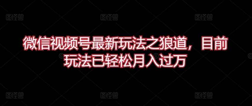 微信视频号最新玩法之狼道，目前玩法已轻松月入过万跨境课程-外贸教程-精品网课-电商运营课库课堂