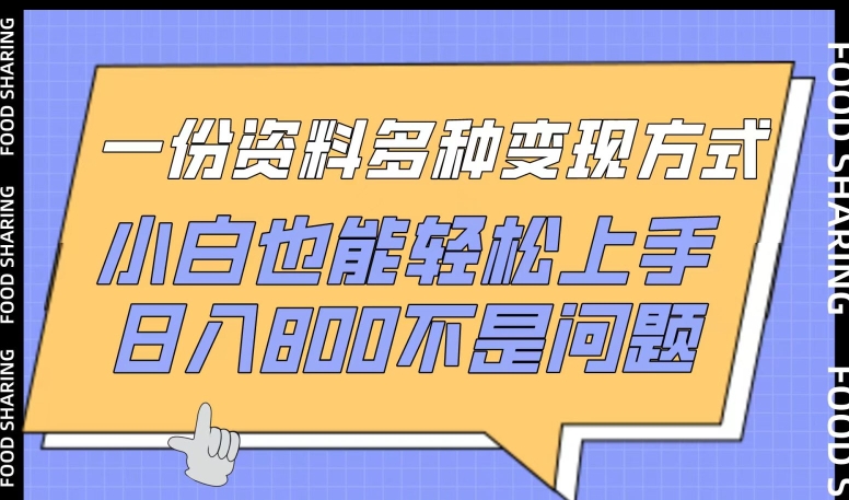 一份资料多种变现方式，小白也能轻松上手，日入800不是问题跨境课程-外贸教程-精品网课-电商运营课库课堂