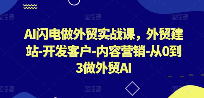 AI闪电做外贸实战课，​外贸建站-开发客户-内容营销-从0到3做外贸AI跨境课程-外贸教程-精品网课-电商运营课库课堂