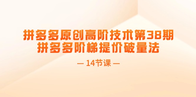 拼多多原创高阶技术第38期，拼多多阶梯提价破量法（14节课）跨境课程-外贸教程-精品网课-电商运营课库课堂