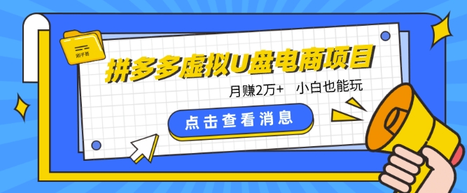 拼多多虚拟U盘电商红利项目：月赚2万+，新手小白也能玩跨境课程-外贸教程-精品网课-电商运营课库课堂