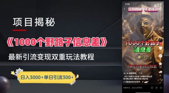 一千个野路子信息差最新玩法教程-变现+引流的玩法具体拆解跨境课程-外贸教程-精品网课-电商运营课库课堂