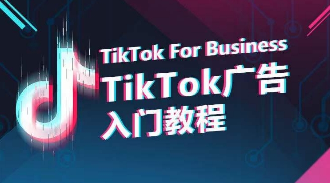 TikTok广告入门教程，从0到1掌握TikTok投放的全流程跨境课程-外贸教程-精品网课-电商运营课库课堂