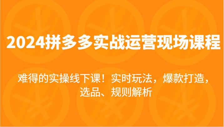 2024拼多多实战运营现场课，实时玩法，爆款打造，选品、规则解析，难得的实操线下课！跨境课程-外贸教程-精品网课-电商运营课库课堂