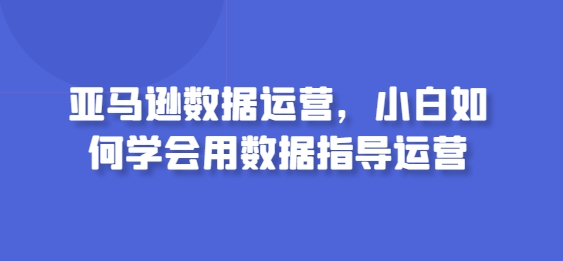 亚马逊数据运营，小白如何学会用数据指导运营跨境课程-外贸教程-精品网课-电商运营课库课堂