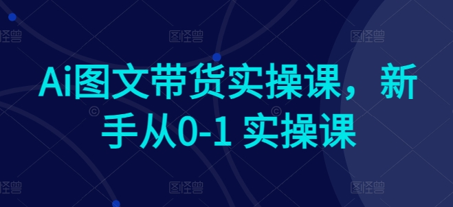 Ai图文带货实操课，新手从0-1 实操课跨境课程-外贸教程-精品网课-电商运营课库课堂