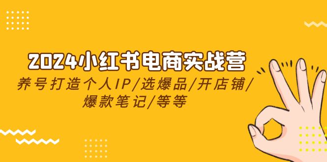 2024小红书电商实战营，养号打造IP/选爆品/开店铺/爆款笔记/等等（24节）跨境课程-外贸教程-精品网课-电商运营课库课堂
