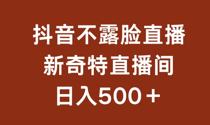 不露脸挂机直播，新奇特直播间，日入500+跨境课程-外贸教程-精品网课-电商运营课库课堂