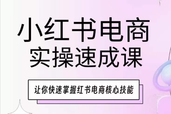 小红书电商实操速成课，让你快速掌握红书电商核心技能跨境课程-外贸教程-精品网课-电商运营课库课堂