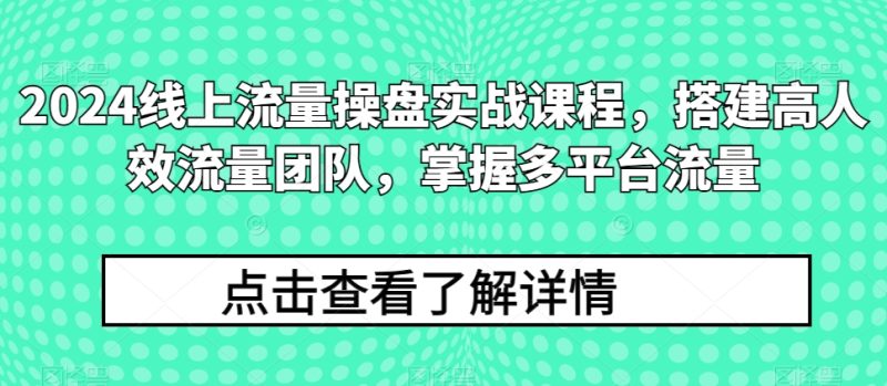 2024线上流量操盘实战课程,搭建高人效流量团队,掌握多平台流量跨境课程-外贸教程-精品网课-电商运营课库课堂