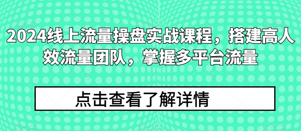 2024线上流量操盘实战课程，搭建高人效流量团队，掌握多平台流量跨境课程-外贸教程-精品网课-电商运营课库课堂