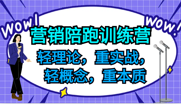 营销陪跑训练营，轻理论，重实战，轻概念，重本质，适合中小企业和初创企业的老板跨境课程-外贸教程-精品网课-电商运营课库课堂