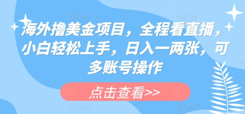 海外撸美金项目，全程看直播，小白轻松上手，日入一两张，可多账号操作跨境课程-外贸教程-精品网课-电商运营课库课堂