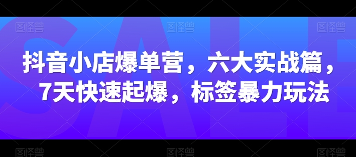 抖音小店爆单营，六大实战篇，7天快速起爆，标签暴力玩法跨境课程-外贸教程-精品网课-电商运营课库课堂