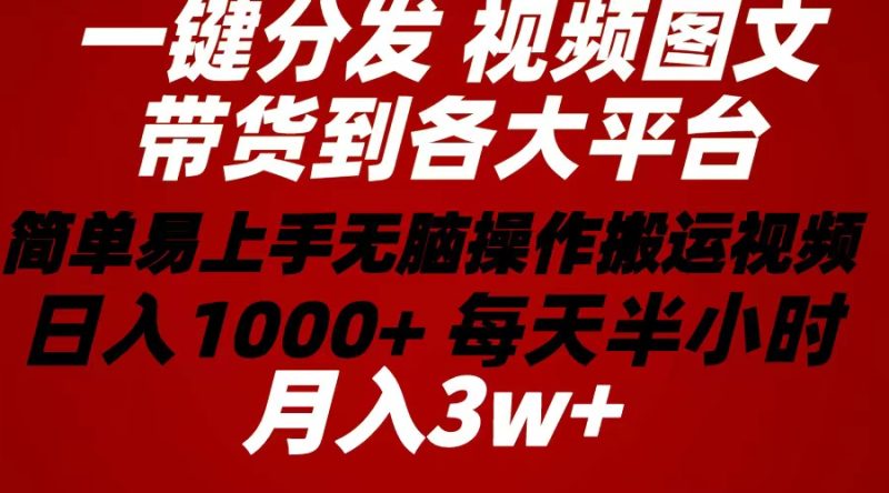 2024年 一键分发带货图文视频  简单易上手 无脑赚收益 每天半小时日入1…跨境课程-外贸教程-精品网课-电商运营课库课堂