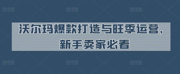 沃尔玛爆款打造与旺季运营，新手卖家必看跨境课程-外贸教程-精品网课-电商运营课库课堂
