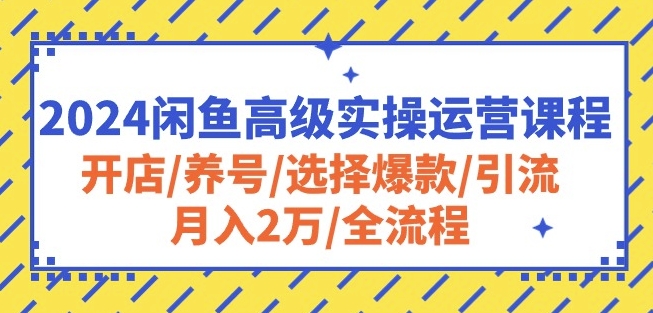 2024闲鱼高级实操运营课程：开店/养号/选择爆款/引流/月入2万/全流程跨境课程-外贸教程-精品网课-电商运营课库课堂