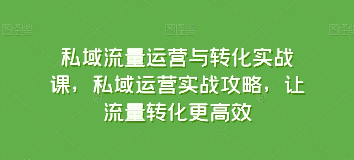 私域流量运营与转化实战课，私域运营实战攻略，让流量转化更高效跨境课程-外贸教程-精品网课-电商运营课库课堂