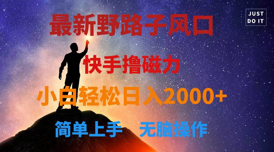 最新风口！快手撸磁力，野路子，小白无脑操作日入2000+跨境课程-外贸教程-精品网课-电商运营课库课堂