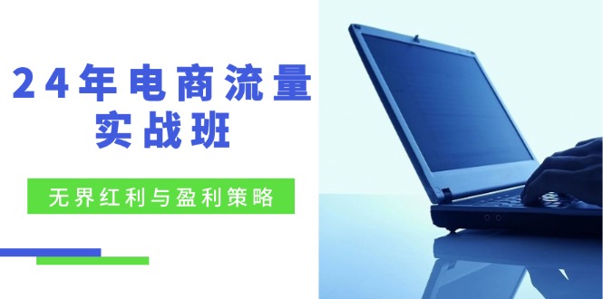 电商流量实战班：无界红利与盈利策略，终极提升/关键词优化/精准人群拓展/创新玩法跨境课程-外贸教程-精品网课-电商运营课库课堂