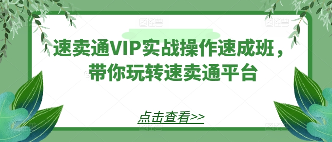 速卖通VIP实战操作速成班，带你玩转速卖通平台跨境课程-外贸教程-精品网课-电商运营课库课堂