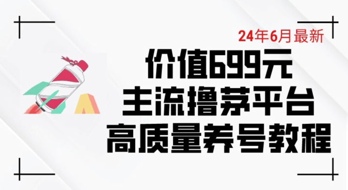6月最新价值699的主流撸茅台平台精品养号下车攻略跨境课程-外贸教程-精品网课-电商运营课库课堂