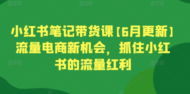 小红书笔记带货课【6月更新】流量电商新机会，抓住小红书的流量红利跨境课程-外贸教程-精品网课-电商运营课库课堂