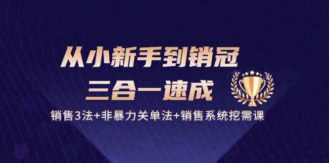 从小新手到销冠 三合一速成：销售3法+非暴力关单法+销售系统挖需课 (27节)跨境课程-外贸教程-精品网课-电商运营课库课堂