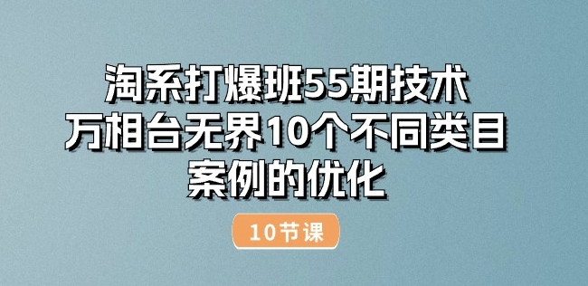 淘系打爆班55期技术：万相台无界10个不同类目案例的优化(10节)跨境课程-外贸教程-精品网课-电商运营课库课堂