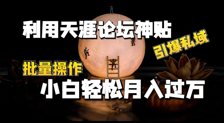 利用天涯论坛神贴，引爆私域，批量操作，小白轻松月入过w跨境课程-外贸教程-精品网课-电商运营课库课堂