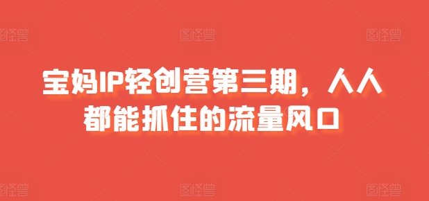 宝妈IP轻创营第三期，人人都能抓住的流量风口跨境课程-外贸教程-精品网课-电商运营课库课堂