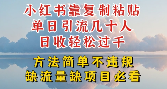 小红书靠复制粘贴单日引流几十人目收轻松过千，方法简单不违规跨境课程-外贸教程-精品网课-电商运营课库课堂