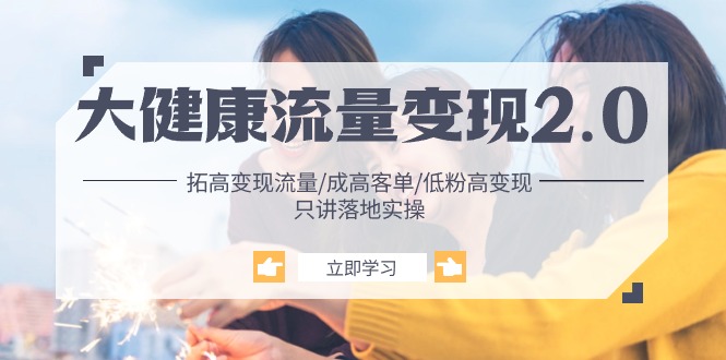 大健康 流量 变现2.0：拓高变现 流量/成高客单/低粉高变现/只讲落地实战跨境课程-外贸教程-精品网课-电商运营课库课堂