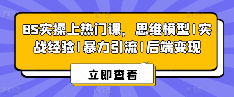 8S实操上热门课，思维模型|实战经验|暴力引流|后端变现跨境课程-外贸教程-精品网课-电商运营课库课堂