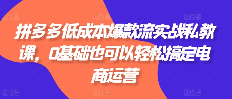 拼多多低成本爆款流实战私教课，0基础也可以轻松搞定电商运营跨境课程-外贸教程-精品网课-电商运营课库课堂