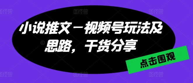 小说推文—视频号玩法及思路，干货分享跨境课程-外贸教程-精品网课-电商运营课库课堂