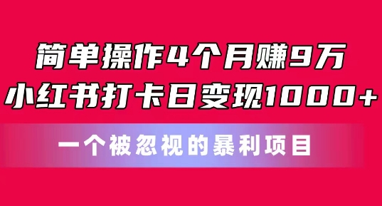 简单操作4个月赚9w，小红书打卡日变现1k，一个被忽视的暴力项目跨境课程-外贸教程-精品网课-电商运营课库课堂