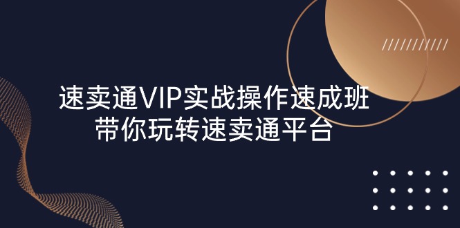 速卖通 VIP实战操作-速成班，带你玩转速卖通平台（23节）跨境课程-外贸教程-精品网课-电商运营课库课堂