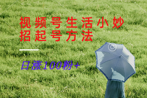 视频号生活小妙招分享赛道， 起号涨粉新方法，日涨100粉跨境课程-外贸教程-精品网课-电商运营课库课堂