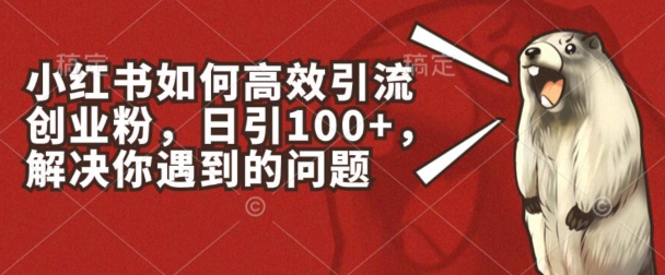 小红书如何高效引流创业粉，日引100+，解决你遇到的问题跨境课程-外贸教程-精品网课-电商运营课库课堂